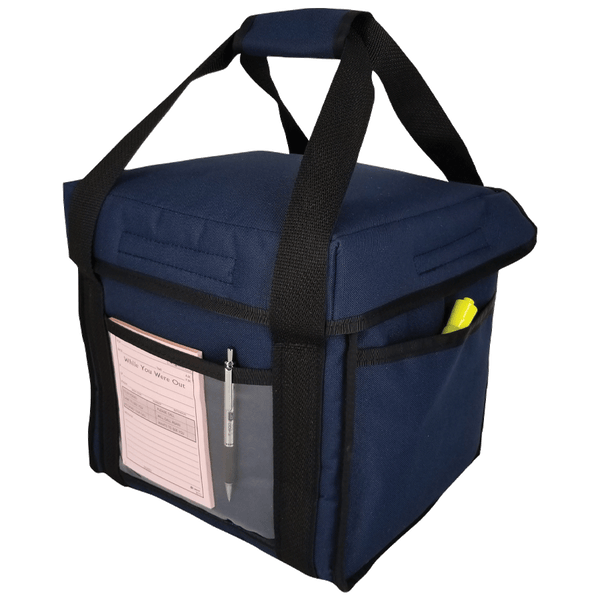 Sandwich Insulated Delivery Bag 10” L X 10” W X 10” H | FCDB101010